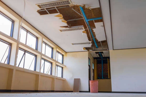 Carpet water damage restoration in HI