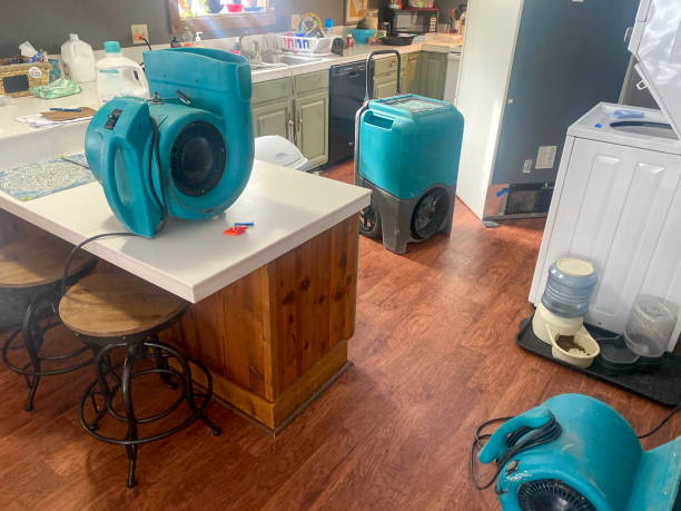 Best Water damage repair service  in Wainaku, HI