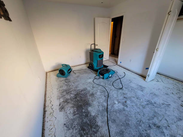 Best Flood damage cleanup  in Wainaku, HI