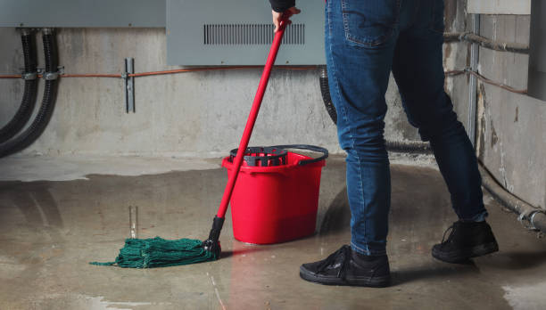 Best Water damage contractors near me  in Wainaku, HI