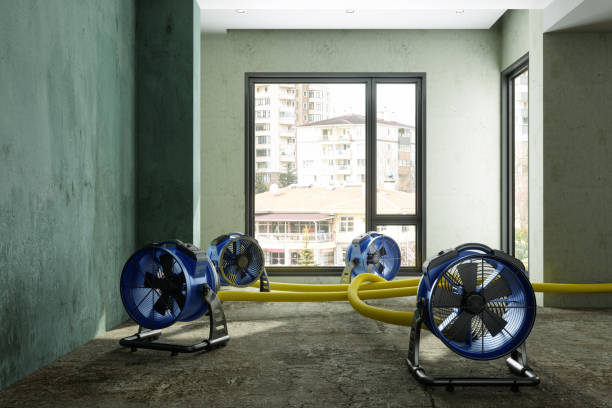 Best Water damage restoration near me  in Wainaku, HI