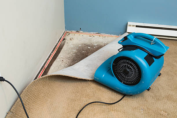 Best 24/7 water damage repair  in Wainaku, HI